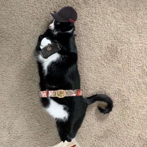 Meet your Posher, Jordan